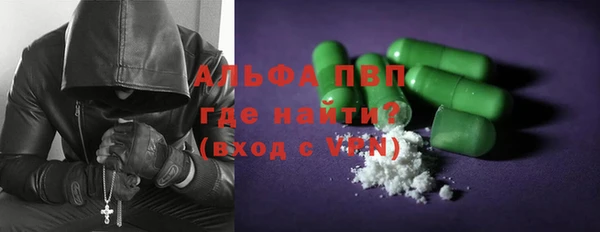 PSILOCYBIN Чегем