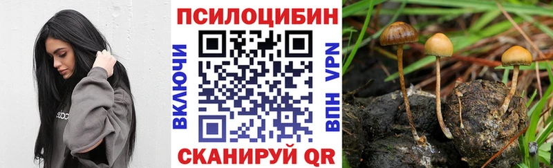 Псилоцибиновые грибы Psilocybine cubensis  mega как войти  Коломна  наркошоп 