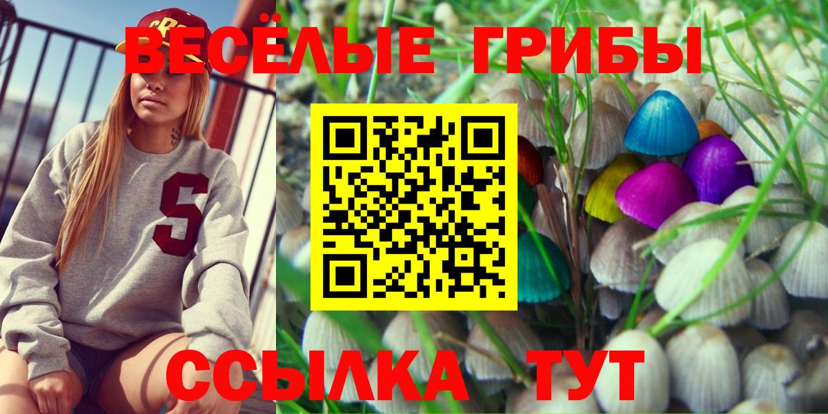 Коломна  Псилоцибиновые грибы Cubensis  Вход с VPN 