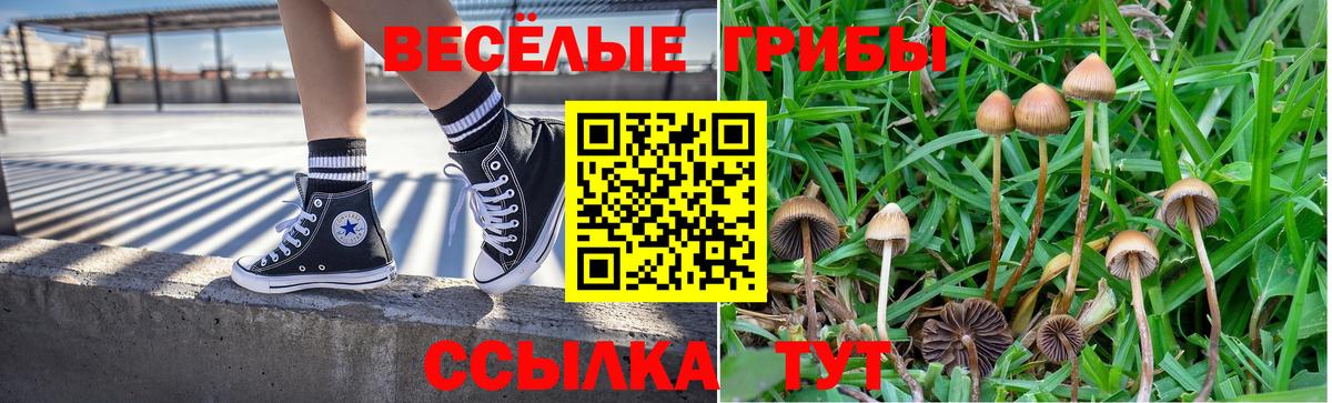 Псилоцибиновые грибы ЛСД Коломна
